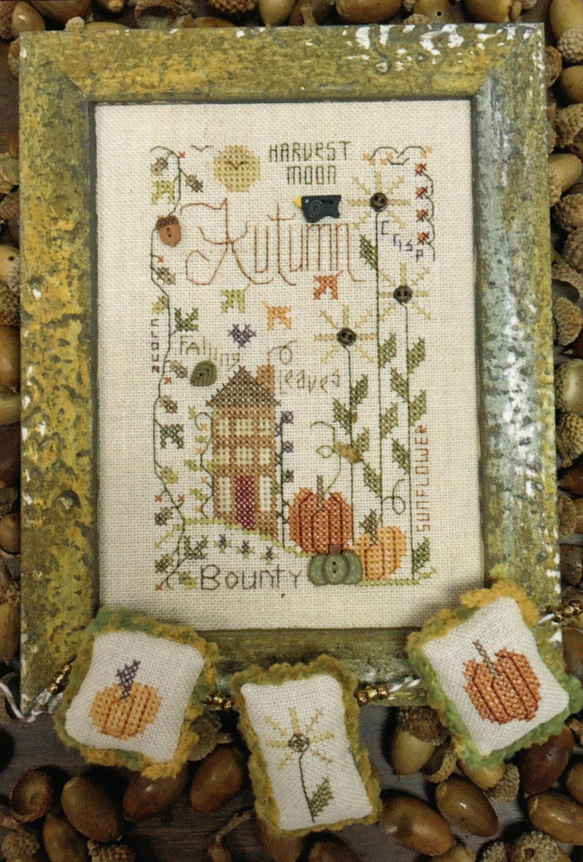 Autumn Notes (#564) | Shepherd's Bush