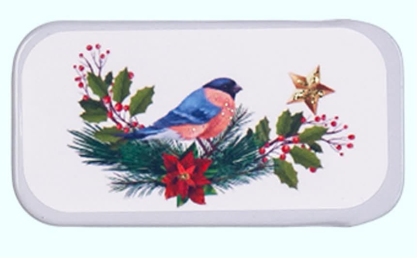 Merry Star Bird Bead Hide Tin | Just Nan