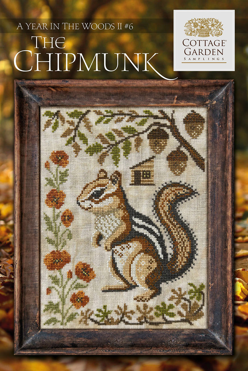 A Year In The Woods ll #6 - The Chipmunk | Cottage Garden Samplings
