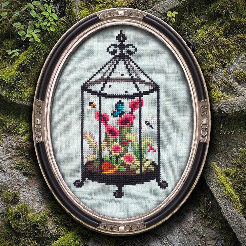 Carnivorous Terrarium | Lola Crow