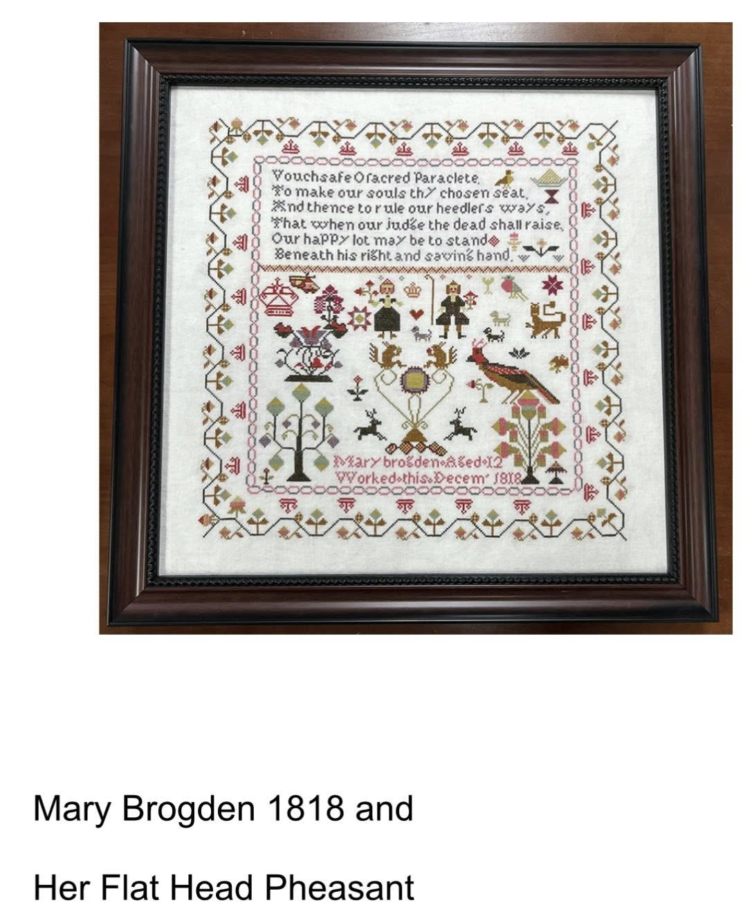 Mary Brogden 1818 and Her Flatheaded Pheasant | Barbara Ana Designs