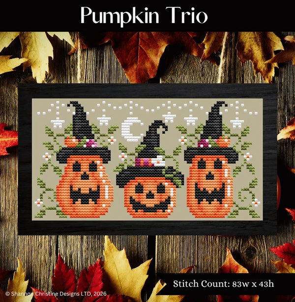 Pumpkin Trio | Shannon Christine