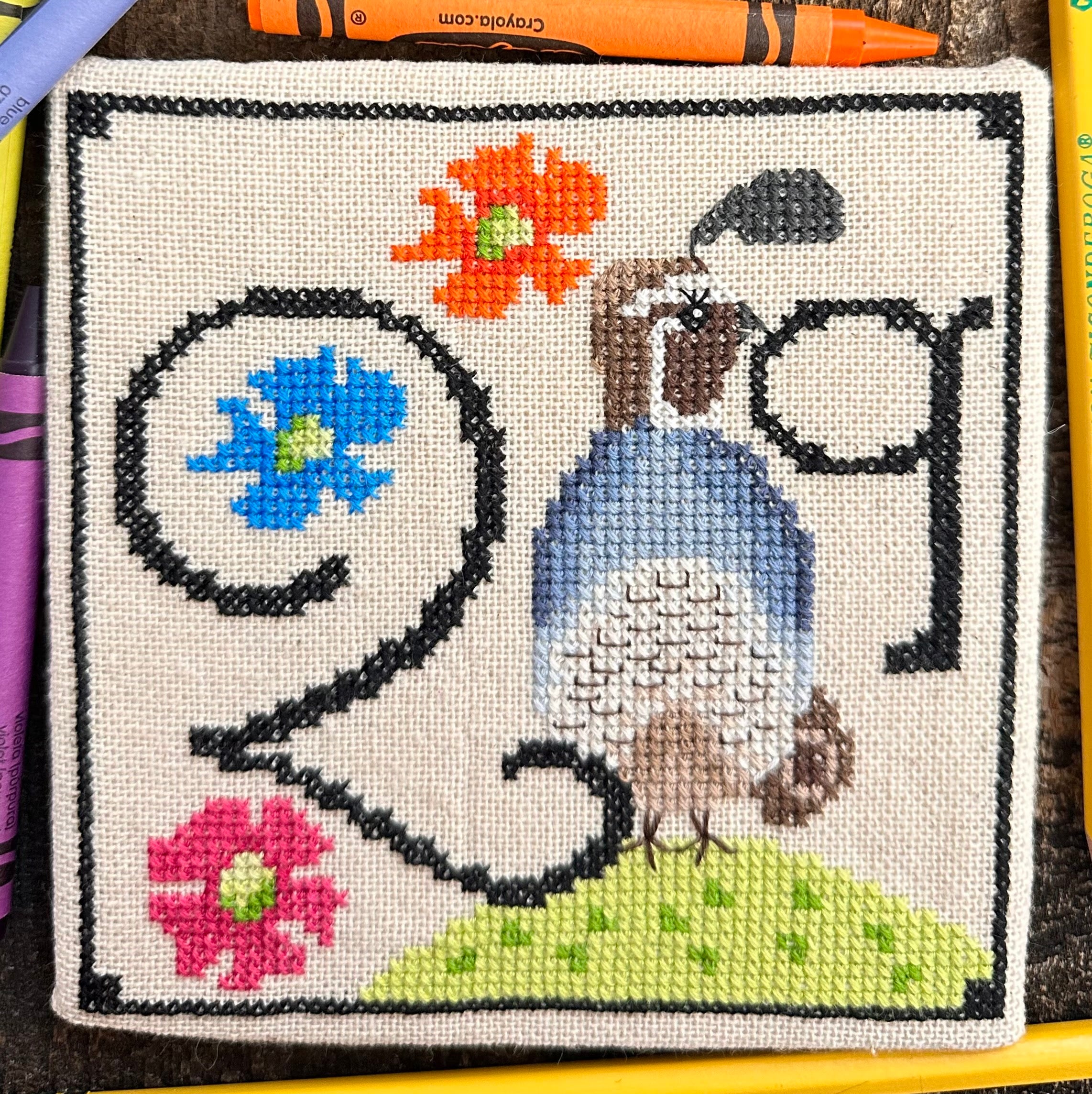 All the Animal Alphabet Series "Q"| Lulu Stitches