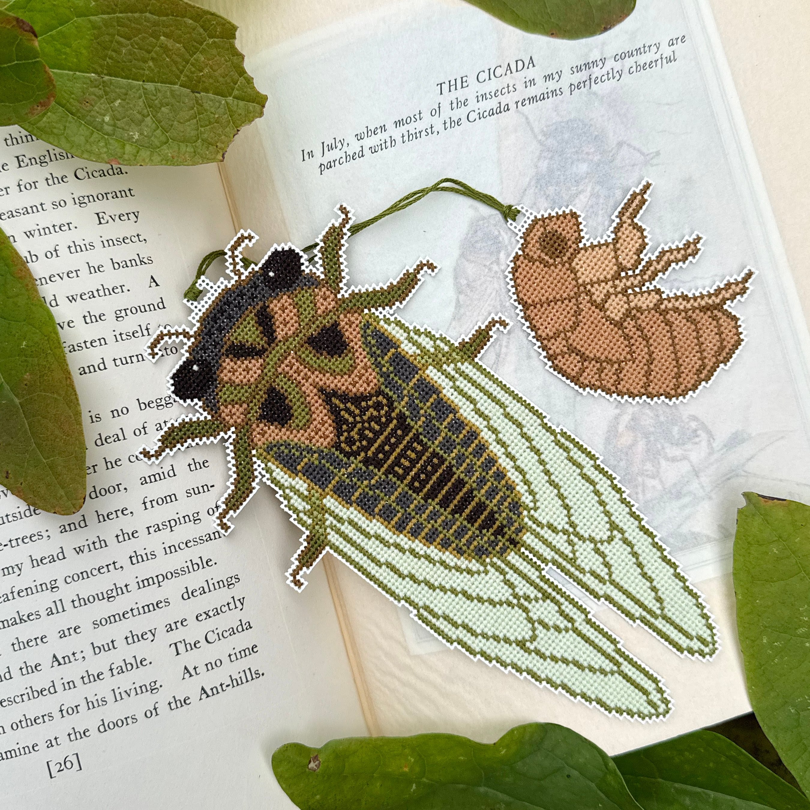 Cicada Season | Boomerang Stitches