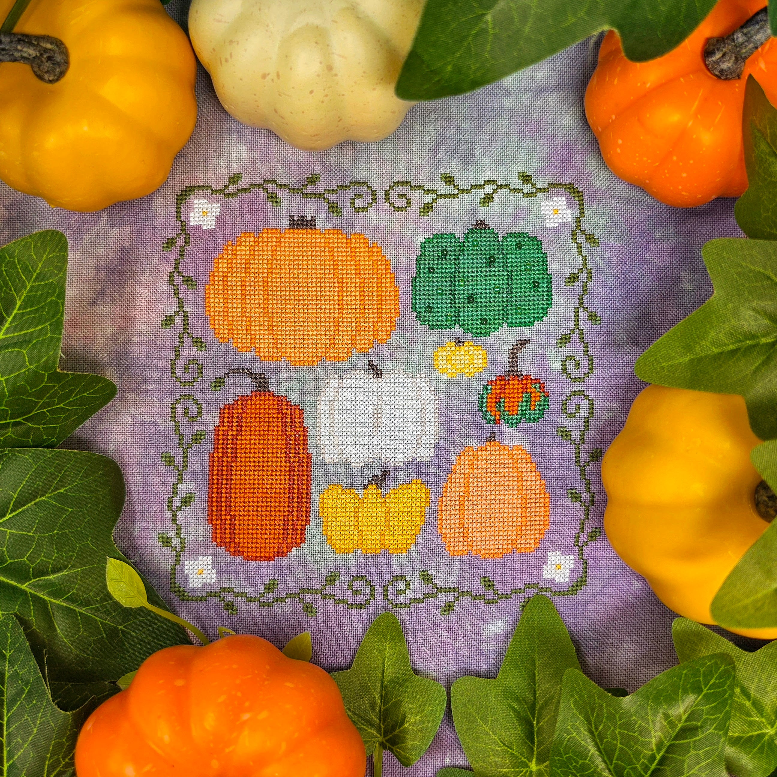 Family Pumpkins | Yahnina Designs