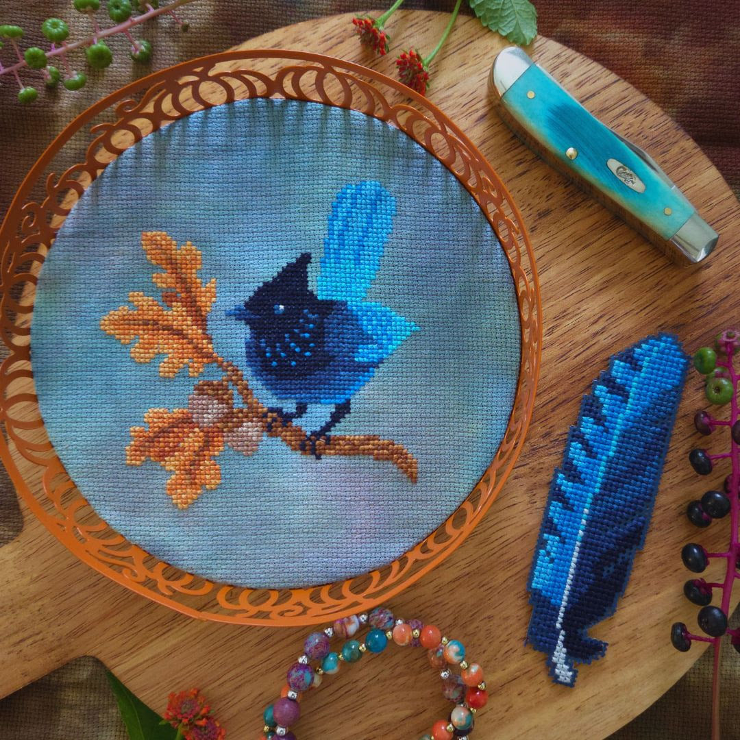 Steller's Jay | BAD Stitch