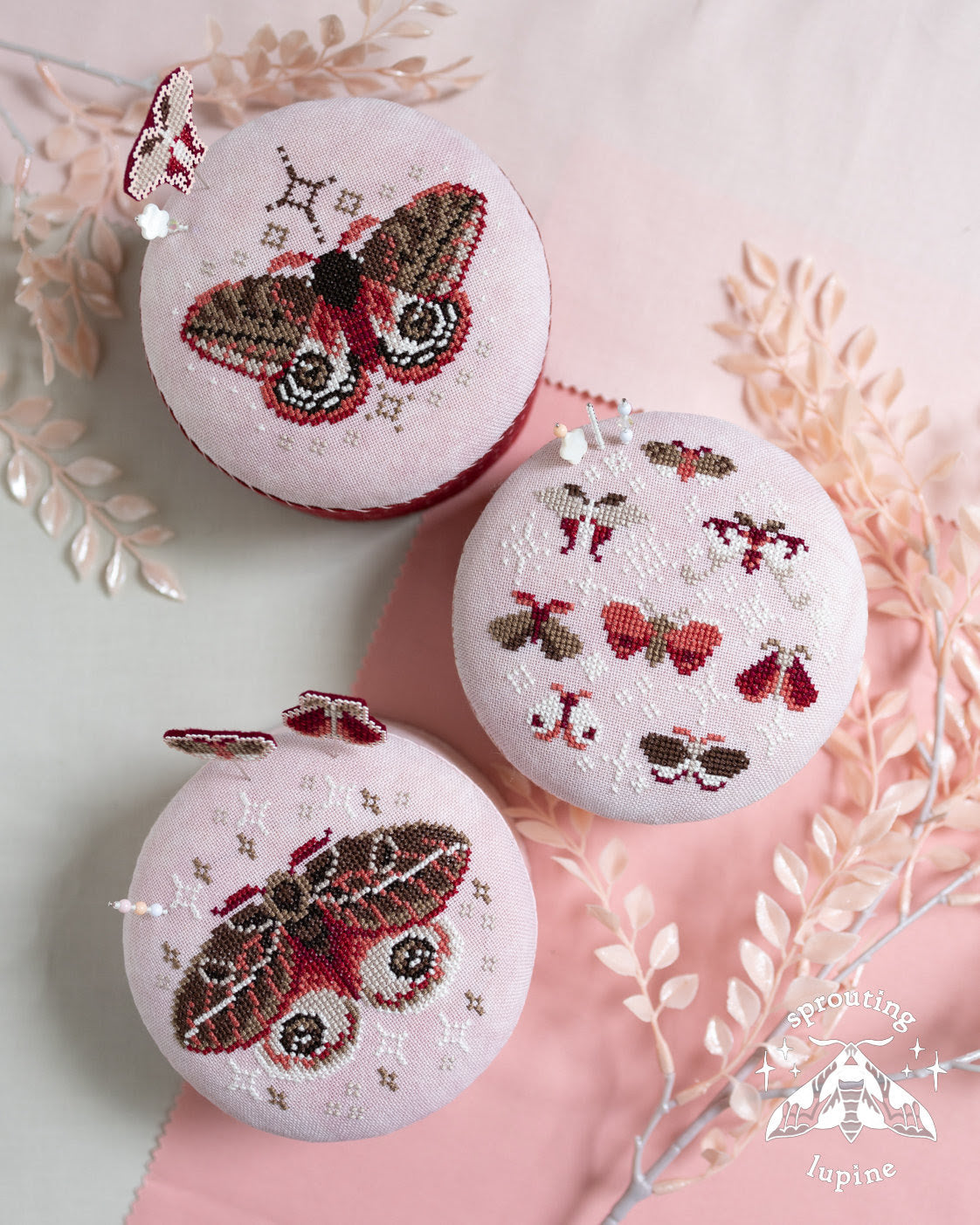 Pink Velvet | sprouting lupine