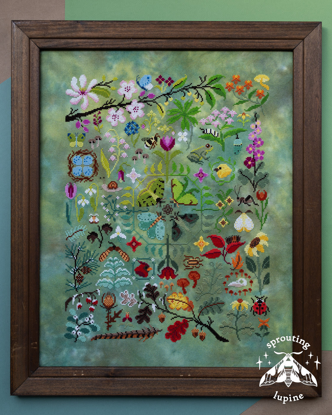 Nature’s Journey | sprouting lupine