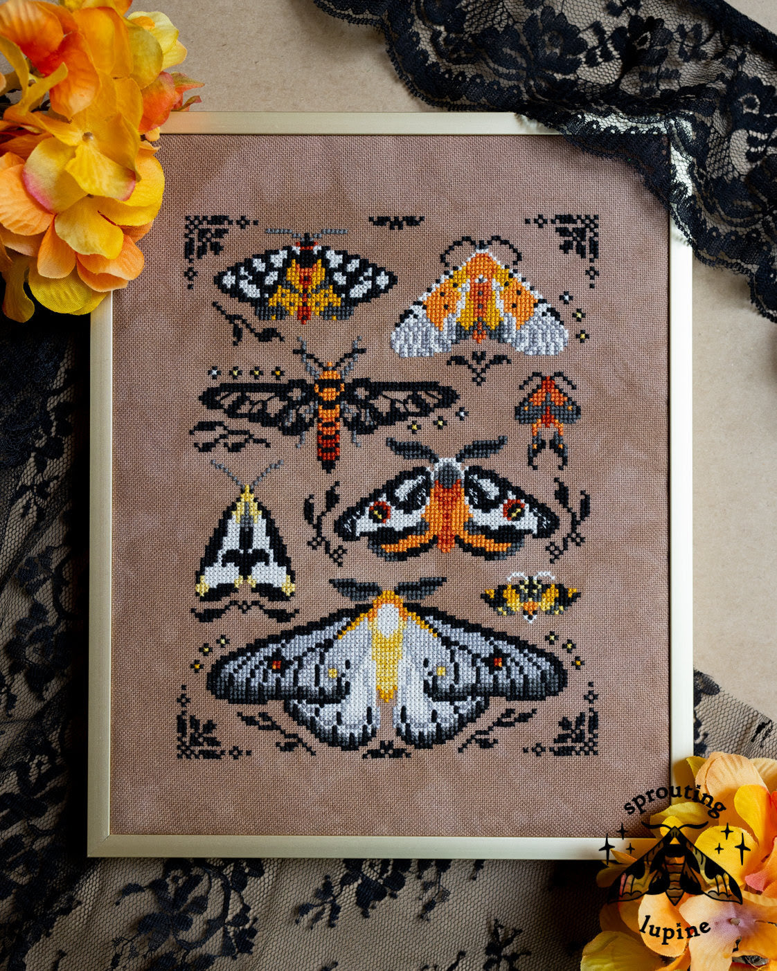 Ochre Wings | sprouting lupine